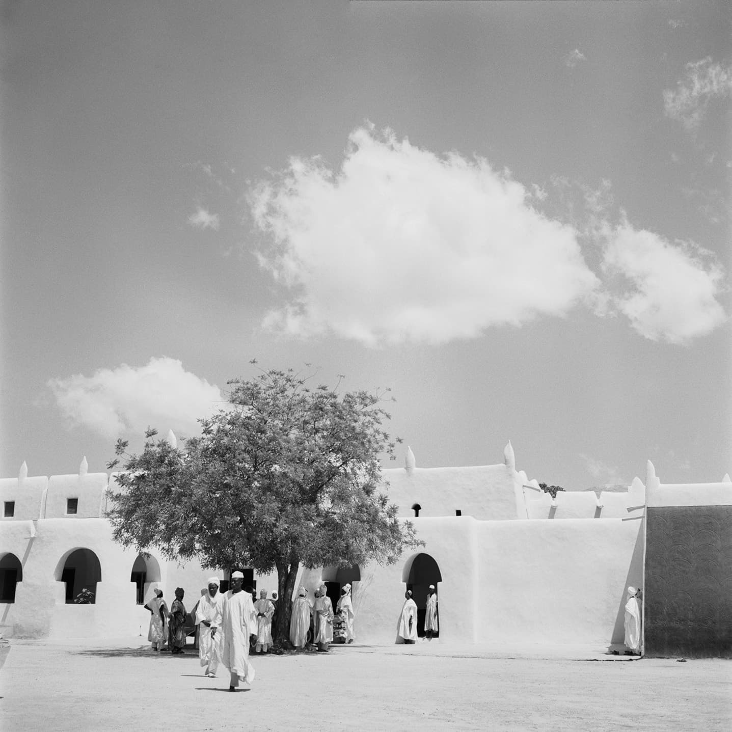 Acacia Shade & Compound Walls