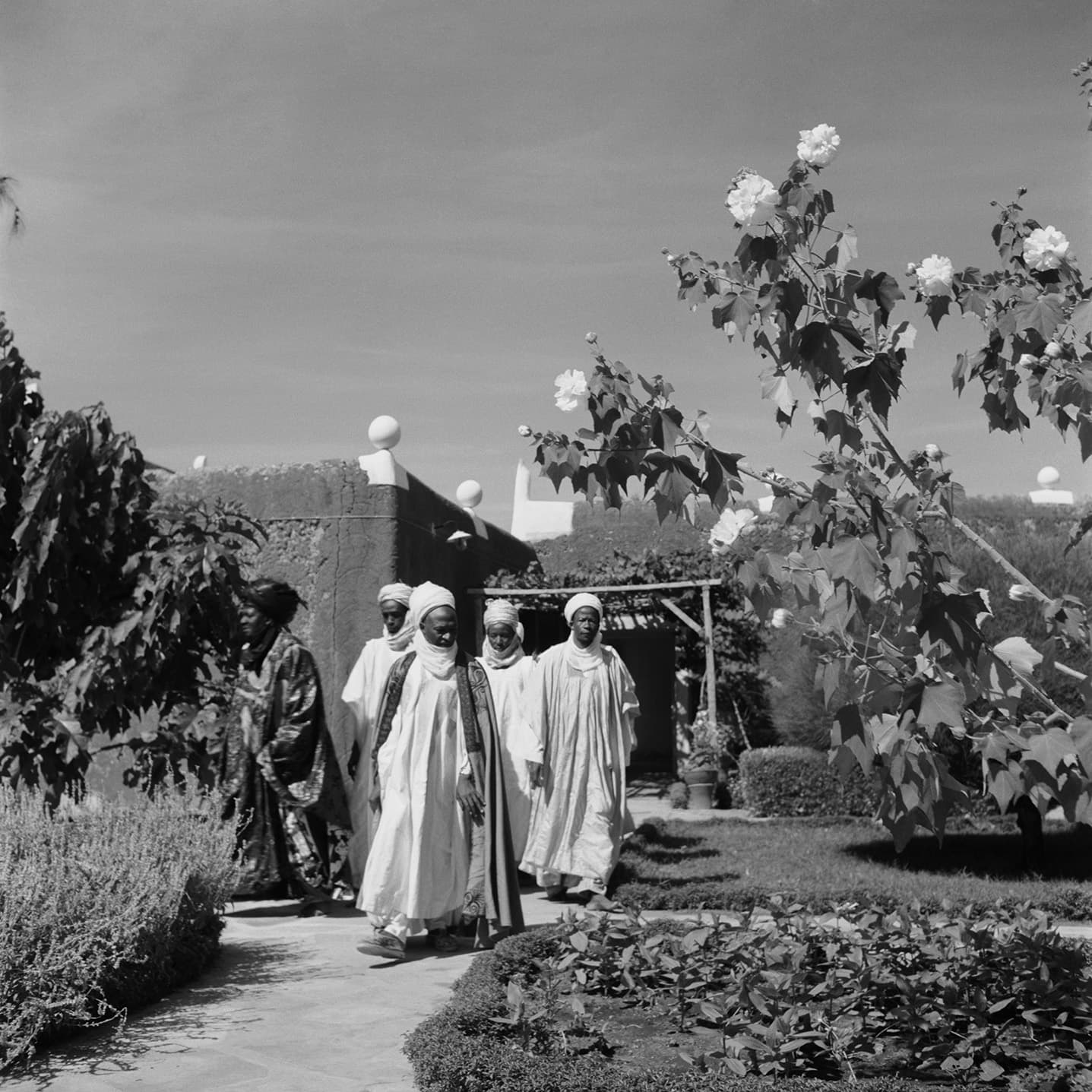 Archival Plate IV • Palace gardens and walkway promenade in Katsina.