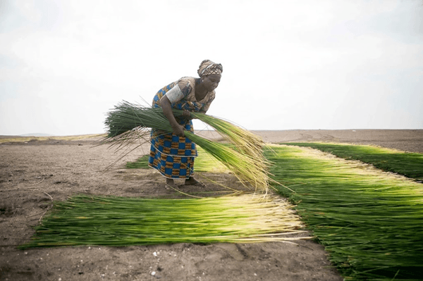 Visual context for The Forgotten Crafts of Jigawa